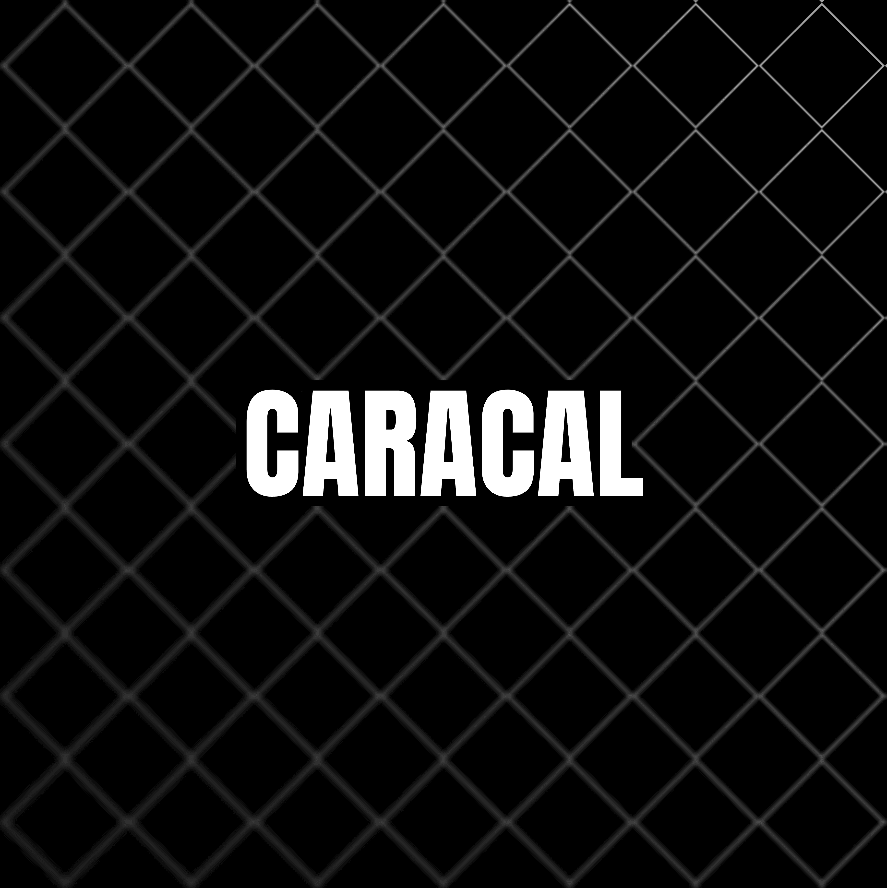 Caracal Auto workshop progress